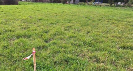 Plaisance-du-Touch Terrain à bâtir - 2113357-9555annonce1202503212F7wo.jpeg Maisons France Confort