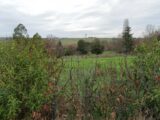 Maison à construire à Lauzerville (31650) 2114387-5771annonce120250321rLcOv.jpeg Maisons France Confort