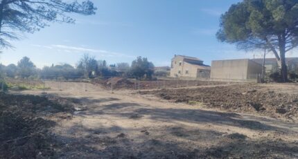 Mus Maison neuve - 2115991-11249annonce220250324r5m9H.jpeg Maisons France Confort