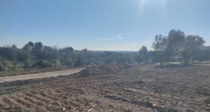 Mus Terrain à bâtir - 2115989-11249annonce320250324Tl7t6.jpeg Maisons France Confort