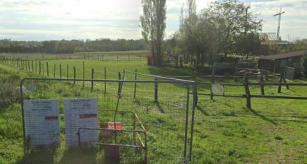 Auenheim Maison neuve - 2116082-11242annonce220250324ESVtD.jpeg Maisons France Confort