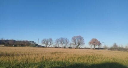 Ribaute-les-Tavernes Maison neuve - 2116183-11249annonce120250324HIKdm.jpeg Maisons France Confort
