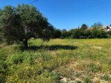 Terrain à bâtir à Sauzet (30190) 2116266-11249annonce120250324CPE1x.jpeg Maisons France Confort