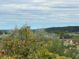 Terrain à bâtir à Serviers-et-Labaume (30700) 2116294-11249annonce120250324BLfpT.jpeg Maisons France Confort