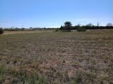 Maison à construire à Marseillan (34340) 2116353-3243annonce120250324nV06F.jpeg Maisons France Confort