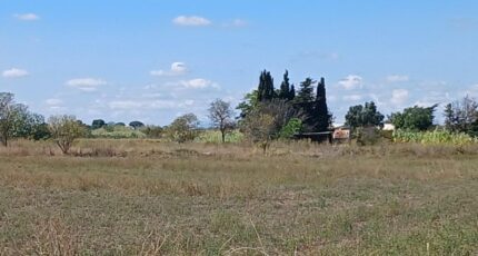 Marseillan Maison neuve - 2116317-3243annonce120241013fx4oT.jpeg Maisons France Confort