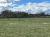 Terrain à bâtir à Gramat (46500) 2117085-3828annonce1202503250IDy4.jpeg Maisons France Confort