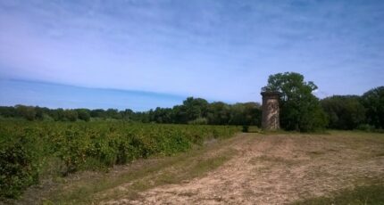Brignac Maison neuve - 2119170-11249annonce120250327a7q7S.jpeg Maisons France Confort