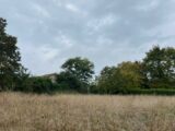 Maison à construire à Gaillac (81600) 2119759-2684annonce2202503282TJ7L.jpeg Maisons France Confort
