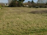 Terrain à bâtir à Saint-Léon (31560) 2120283-10568annonce1202503283TL4x.jpeg Maisons France Confort