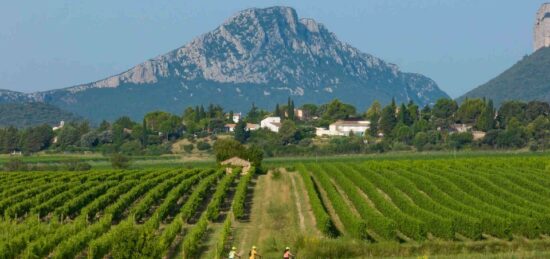 Terrain à bâtir à Le Triadou, Occitanie