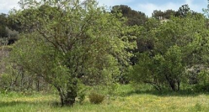 Septèmes-les-Vallons Terrain à bâtir - 2124305-7060annonce220250403KqZuh.jpeg Maisons France Confort