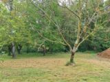 Maison à construire à Tournefeuille (31170) 2125119-9555annonce120250404kVaXa.jpeg Maisons France Confort