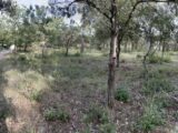 Terrain à bâtir à Le Thoronet (83340) 2125235-10744annonce420250404Bs0z3.jpeg Maisons France Confort