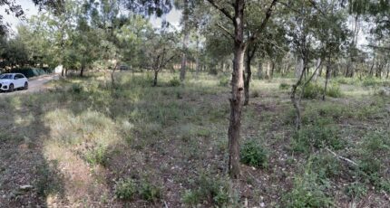 Le Thoronet Terrain à bâtir - 2125235-10744annonce420250404Bs0z3.jpeg Maisons France Confort