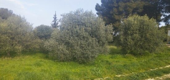Terrain à bâtir à Saint-Chamas, Provence-Alpes-Côte d'Azur