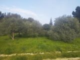 Terrain à bâtir à Saint-Chamas (13250) 2125831-11191annonce420250405oOHLx.jpeg Maisons France Confort