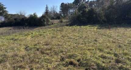 Aubenas Maison neuve - 2098904-11001annonce120250307f1cgk.jpeg Maisons France Confort