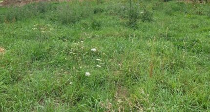 Rambouillet Maison neuve - 2125636-3233annonce120250405Mgfcl.jpeg Maisons France Confort