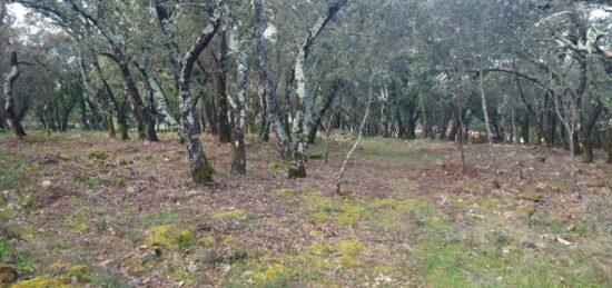 Terrain à bâtir à , Var