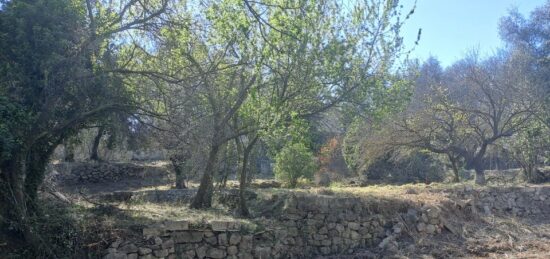 Terrain à bâtir à Tourrette-Levens, Provence-Alpes-Côte d'Azur