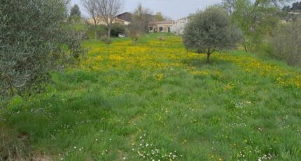 Lauris Maison neuve - 2131389-10682annonce120250412MrDNF.jpeg Maisons France Confort