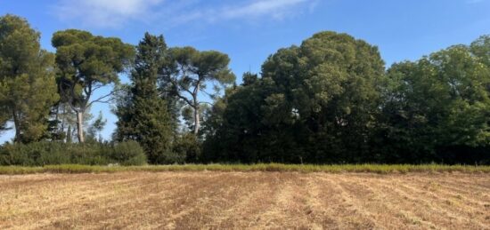 Terrain à bâtir à , Vaucluse
