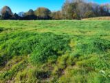 Terrain à bâtir à Royères (87400) 2134915-3291annonce120250417TZvfk.jpeg Maisons France Confort