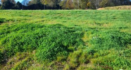 Royères Terrain à bâtir - 2134915-3291annonce120250417TZvfk.jpeg Maisons France Confort
