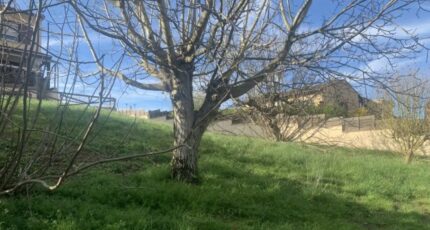 Frouzins Terrain à bâtir - 2135897-10326annonce120250418Bz9VV.jpeg Maisons France Confort