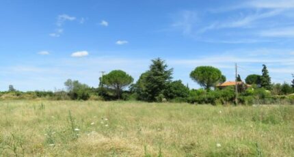 Connaux Terrain à bâtir - 2113382-11249annonce120250321wi735.jpeg Maisons France Confort