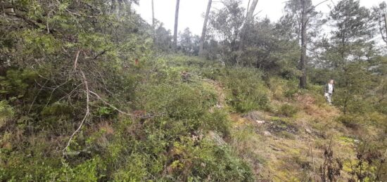 Terrain à bâtir à , Var