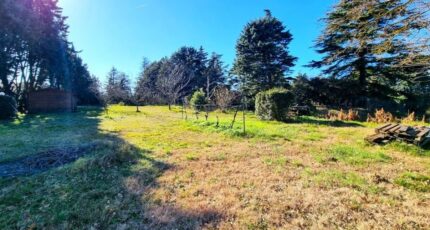 Castanet-Tolosan Maison neuve - 2136396-5771annonce120250418GTo0F.jpeg Maisons France Confort