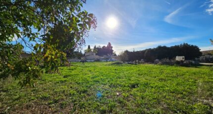 Cheval-Blanc Maison neuve - 2138692-2970annonce120250423BCT7K.jpeg Maisons France Confort