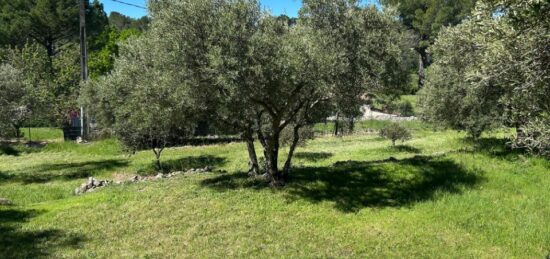 Terrain à bâtir à Lorgues, Provence-Alpes-Côte d'Azur