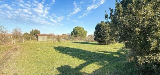 Terrain à bâtir à Plaisance-du-Touch, Occitanie