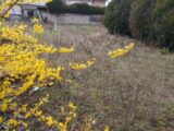 Terrain à bâtir à Bois-le-Roi (77590) 2141441-10730annonce320250425lN7gu.jpeg Maisons France Confort