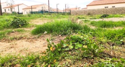 Pouzolles Maison neuve - 2116876-11018annonce1202503253krQQ.jpeg Maisons France Confort