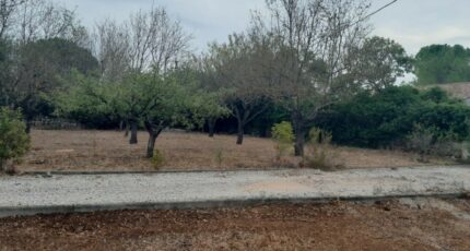 Brignoles Terrain à bâtir - 2143205-10295annonce3202412136t5Jq.jpeg Maisons France Confort