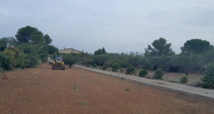 Brignoles Terrain à bâtir - 2143204-10295annonce220241213LMXT4.jpeg Maisons France Confort