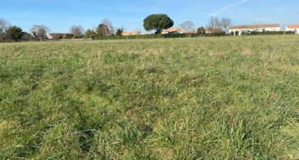 Corme-Royal Maison neuve - 2143288-11194annonce320250429Rc0lQ.jpeg Maisons France Confort