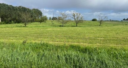Caumont-sur-Garonne Terrain à bâtir - 2144494-9795annonce2202503159HrT5.jpeg Maisons France Confort