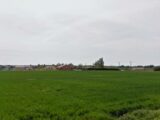 Terrain à bâtir à Meilhan-sur-Garonne (47180) 2144511-9795annonce120250326ew5gg.jpeg Maisons France Confort