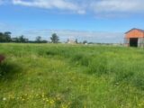Terrain à bâtir à Gontaud-de-Nogaret (47400) 2144550-9795annonce120250306dzsg2.jpeg Maisons France Confort