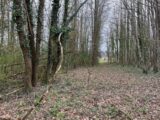 Terrain à bâtir à Peyrillac-et-Millac (24370) 2145459-11160annonce3202504302G4s1.jpeg Maisons France Confort