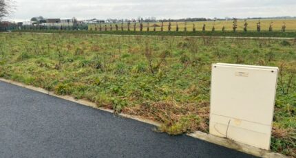 Fauville-en-Caux Maison neuve - 2146047-11217annonce120250501EMutl.jpeg Maisons France Confort