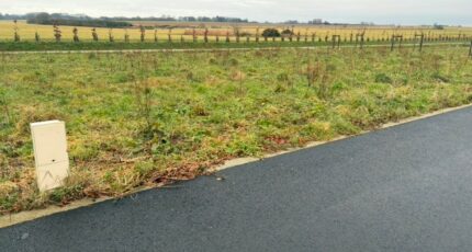 Fauville-en-Caux Maison neuve - 2146047-11217annonce2202505015DsbF.jpeg Maisons France Confort
