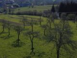 Maison à construire à Cambremer (14340) 2145968-11215annonce120250430kQVq8.jpeg Maisons France Confort