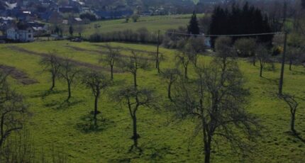 Cambremer Maison neuve - 2145968-11215annonce120250430kQVq8.jpeg Maisons France Confort