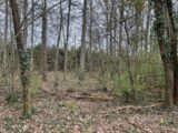 Terrain à bâtir à Peyrillac-et-Millac (24370) 2121818-11160annonce320250331DvTW0.jpeg Maisons France Confort